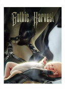 破碎领域：最佳战斗策略与阵容搭配